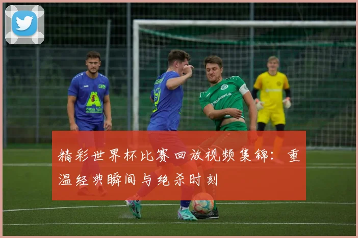 精彩世界杯比赛回放视频集锦：重温经典瞬间与绝杀时刻