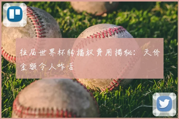 往届世界杯转播权费用揭秘：天价金额令人咋舌